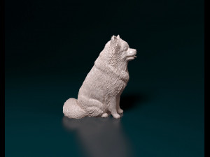 Spitz dog Modello di stampa 3D