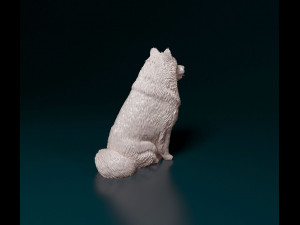 Spitz dog Modello di stampa 3D