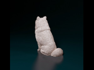 Spitz dog Modello di stampa 3D