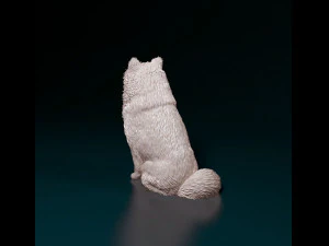 Spitz dog 3D Print Model