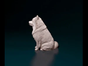 Spitz dog 3D Print Model