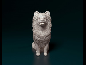 Spitz dog Modello di stampa 3D