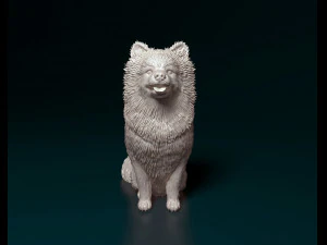 Spitz dog 3D Print Model