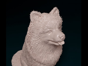 Spitz dog Modello di stampa 3D