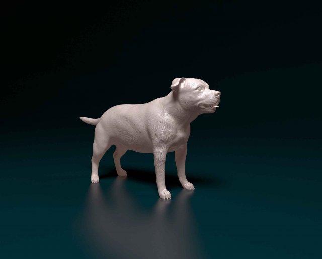 Staffordshire bull terrier 1 3D-printmodel .c4d .max .obj .3ds .fbx .stl .blend 