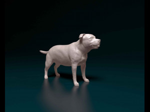 Staffordshire bull terrier 1 3D Принт Модель