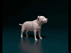 Staffordshire bull terrier 1 3D Print Model