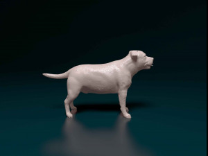 Staffordshire bull terrier 1 3D-printmodel