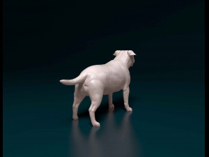 Staffordshire bull terrier 1 3D-printmodel