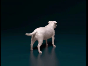 Staffordshire bull terrier 1 3D Print Model
