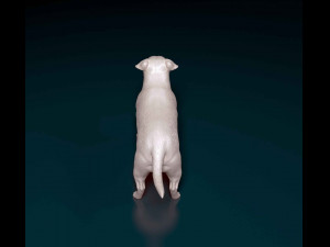 Staffordshire bull terrier 1 3D-printmodel