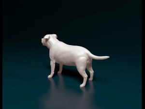 Staffordshire bull terrier 1 3D-printmodel