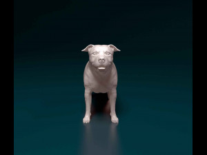 Staffordshire bull terrier 1 3D-printmodel