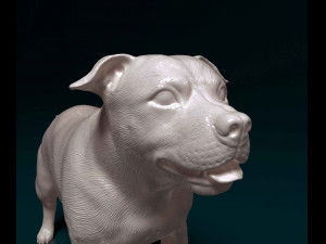 Staffordshire bull terrier 1 3D-printmodel