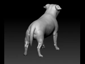 Staffordshire bull terrier 1 3D Print Model