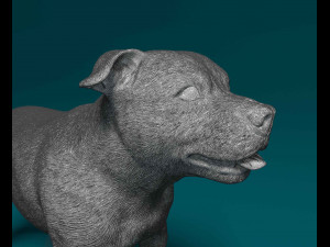 Staffordshire bull terrier 1 3D-printmodel