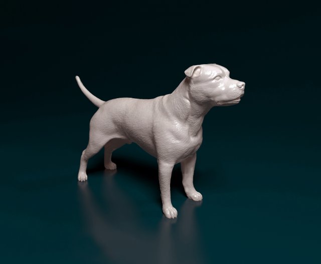 Staffordshire bull terrier 2 Modelo de Impressão 3D .c4d .max .obj .3ds .fbx .stl .blend 