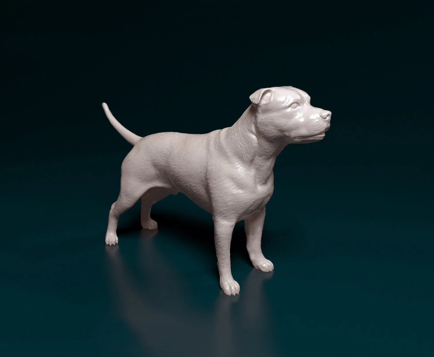 Staffordshire bull terrier 2 3D Print Model .c4d .max .obj .3ds .fbx .stl .blend 