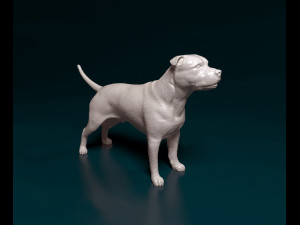 Staffordshire bull terrier 2 3D Принт Модель