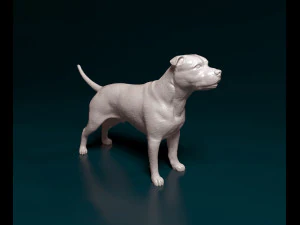 斯塔福郡斗牛梗2 3D 打印模型