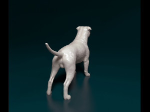 Staffordshire bull terrier 2 Modelo de Impressão 3D