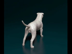Staffordshire bull terrier 2 3D Print Model