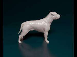 Staffordshire bull terrier 2 Modelo de Impressão 3D