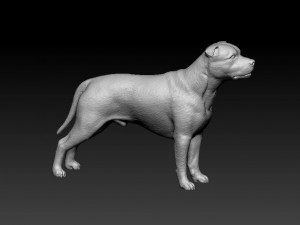 Staffordshire bull terrier 2 Modelo de Impressão 3D