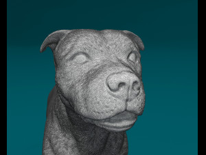 Staffordshire bull terrier 2 Modelo de Impressão 3D
