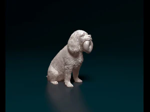 Cavalier King Charles Spaniel Modelo de impresión 3D
