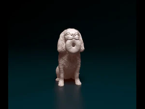 Cavalier King Charles Spaniel 3D Print Model