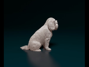 Cavalier King Charles Spaniel 3Dプリントモデル