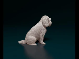 Cavalier King Charles Spaniel 3D Print Model