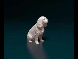 Cavalier King Charles Spaniel 3D Print Model