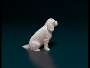 Cavalier King Charles Spaniel 3Dプリントモデル