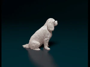 Cavalier King Charles Spaniel 3D Print Model