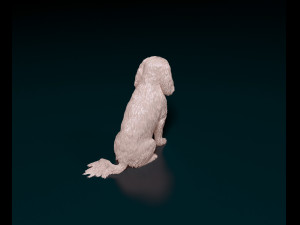 Cavalier King Charles Spaniel 3Dプリントモデル