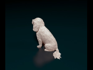 Cavalier King Charles Spaniel 3Dプリントモデル