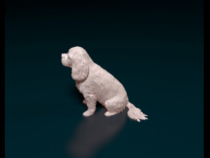 Cavalier King Charles Spaniel 3Dプリントモデル