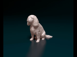 Cavalier King Charles Spaniel 3Dプリントモデル