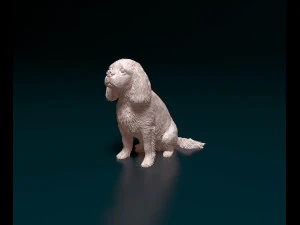 Cavalier King Charles Spaniel 3D Print Model