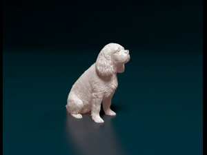 Cavalier King Charles Spaniel 3Dプリントモデル