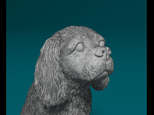 Cavalier King Charles Spaniel 3Dプリントモデル