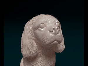 Cavalier King Charles Spaniel 3Dプリントモデル