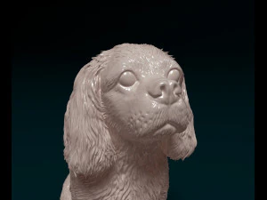 Cavalier King Charles Spaniel 3D Print Model