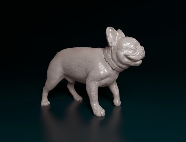 French Bulldog 3 3D 프린트 모델 .c4d .max .obj .3ds .fbx .stl .blend 