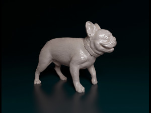 French Bulldog 3 3D Print Model