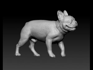 French Bulldog 3 3D 프린트 모델
