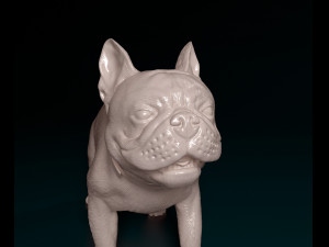 French Bulldog 3 3D 프린트 모델