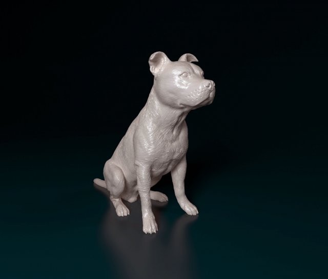 Staffordshire bull terrier sitting 3D Принт Модель .c4d .max .obj .3ds .fbx .stl .blend